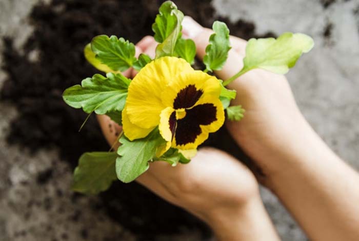 راههای غلبه بر استرس