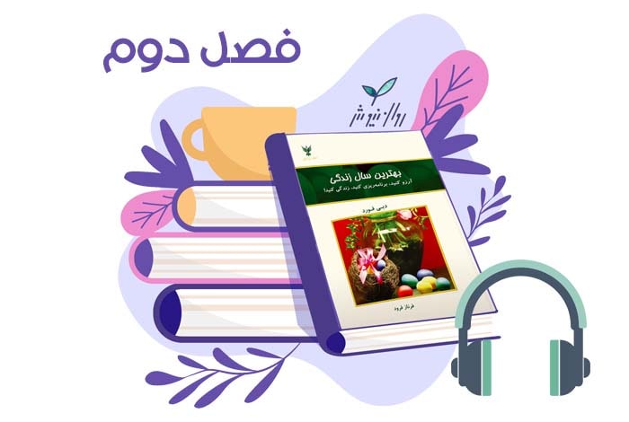 بهترین سال زندگی دبی فورد
